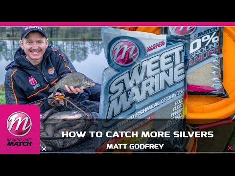 Mainline Match 100% Pure Ground Expander Grondvoer MM2904