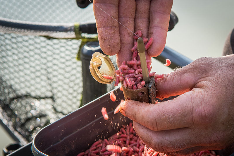 Matrix inline maggot feeders