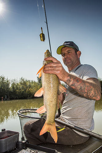 Matrix inline maggot feeders