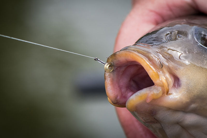 Matrix MXC-6 Medium Eyed Barbless Haken