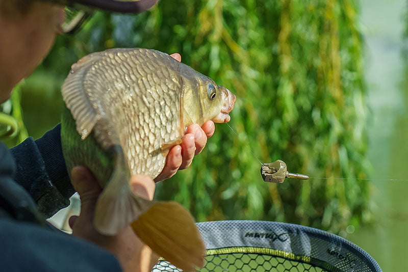 Matrix inline pellet feeders