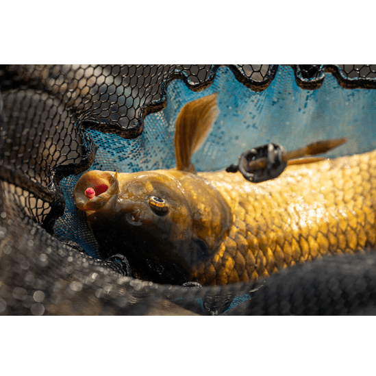 Sonubaits micro band'um wafters