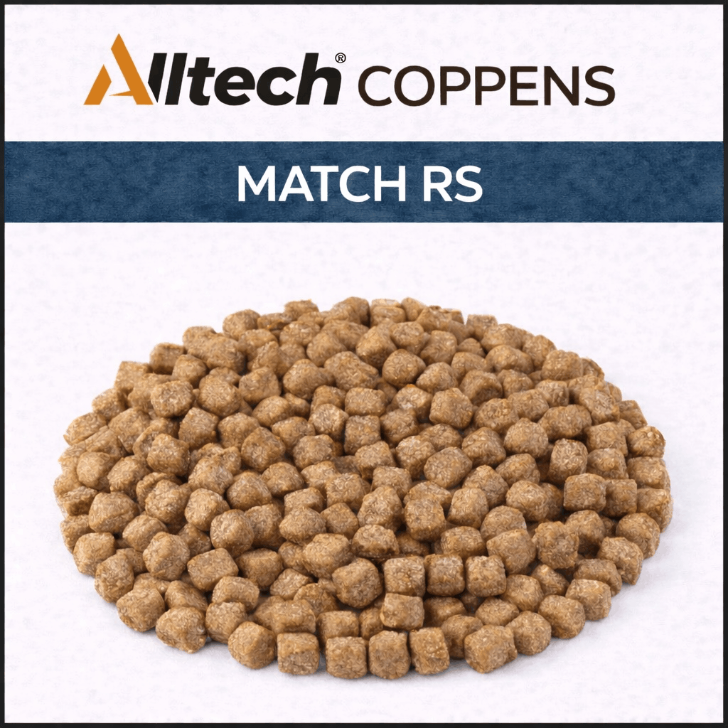 Alltech-Coppens-match-rs