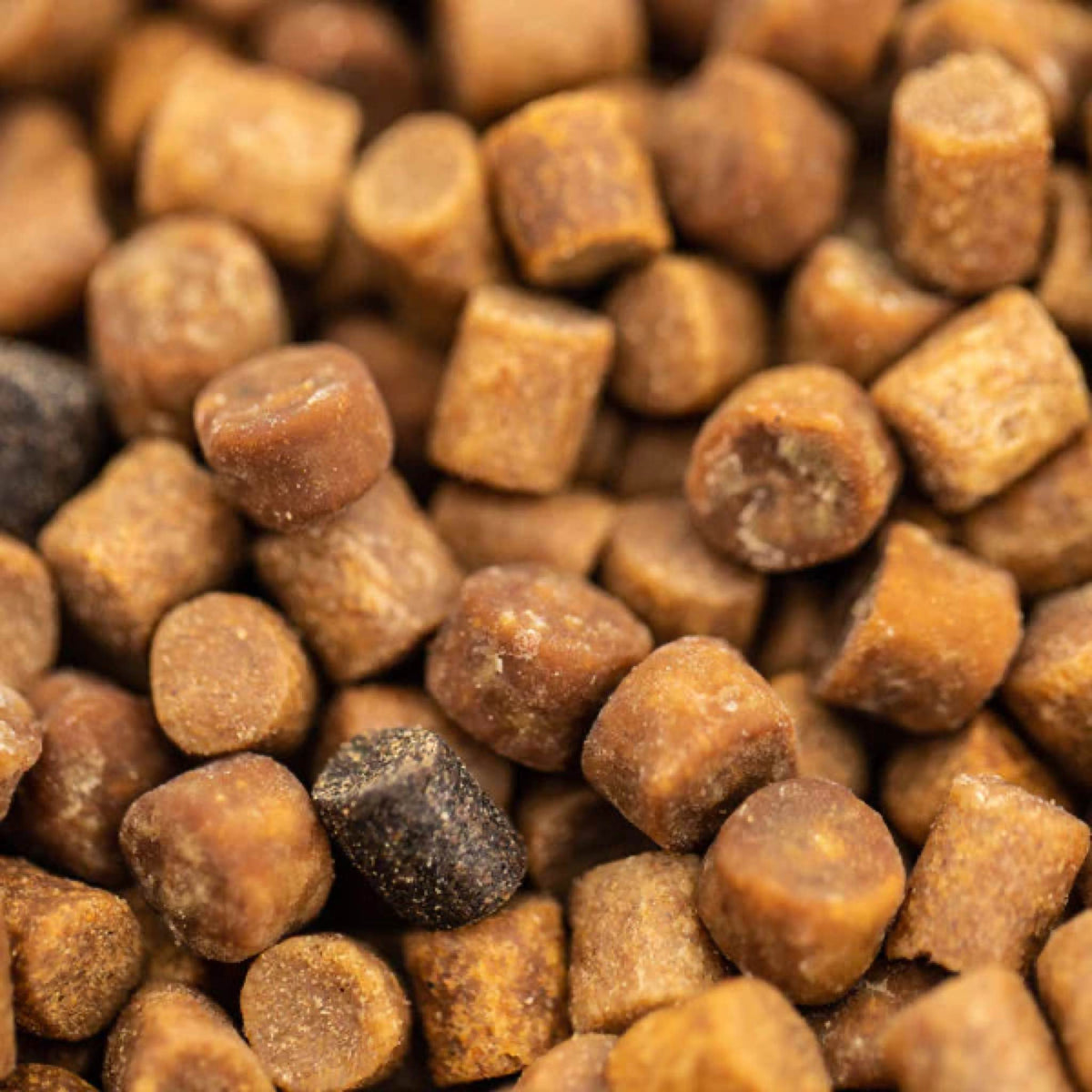 Fjuka Fatboys Natural close-up van 10mm pellets