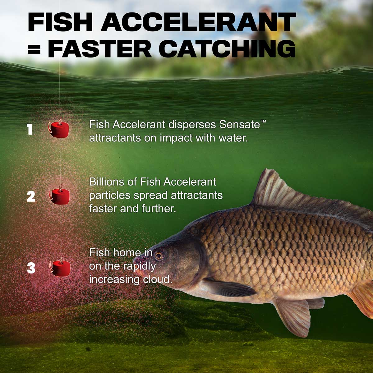 POWERFULLY THICK SENSATE FISH ACCELERANT