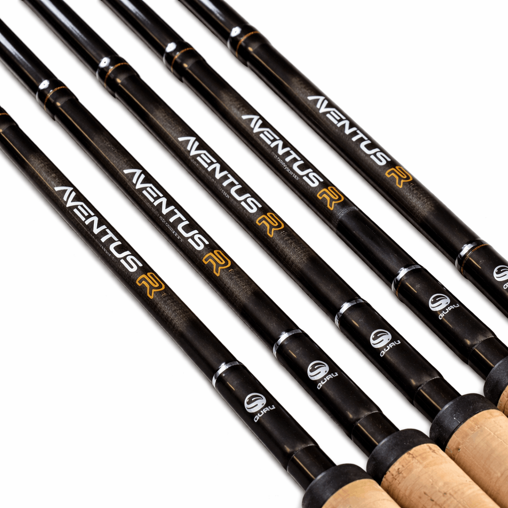 Guru-Aventus-R-rods-11
