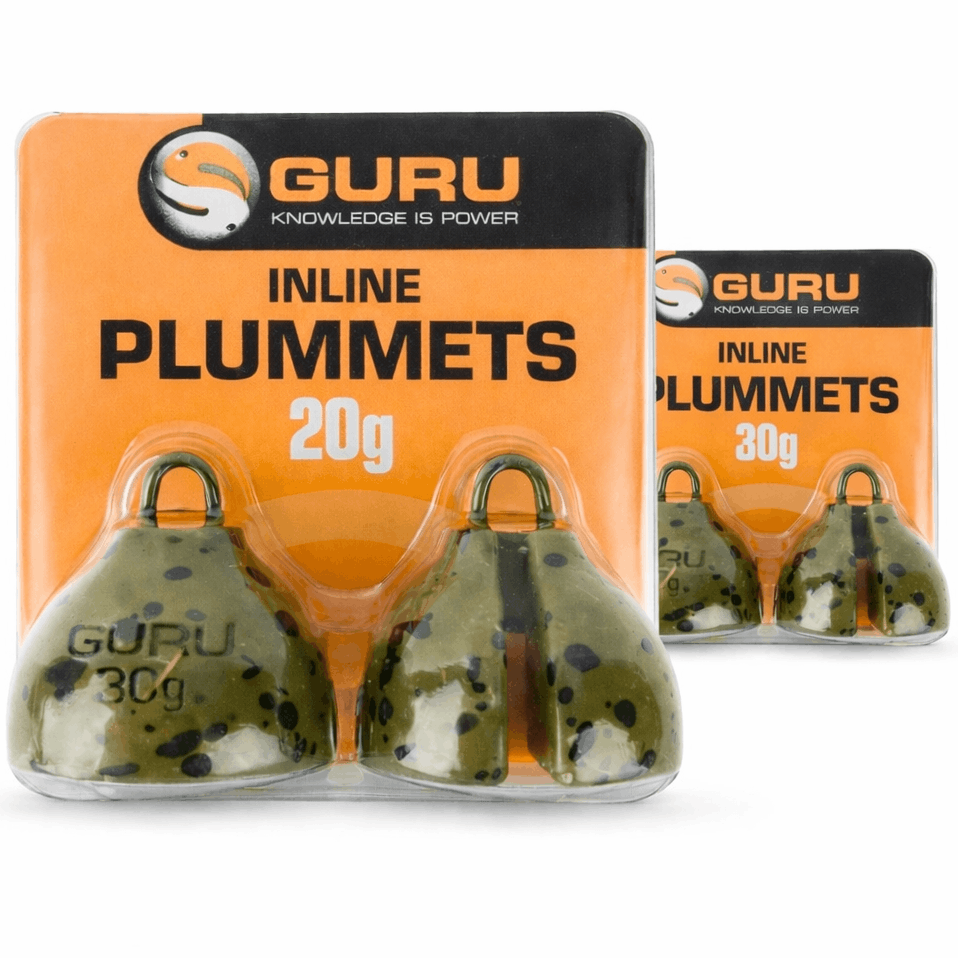 Guru-plummets-cover