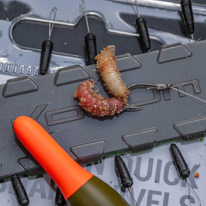 korum xpert maggot micro barbed