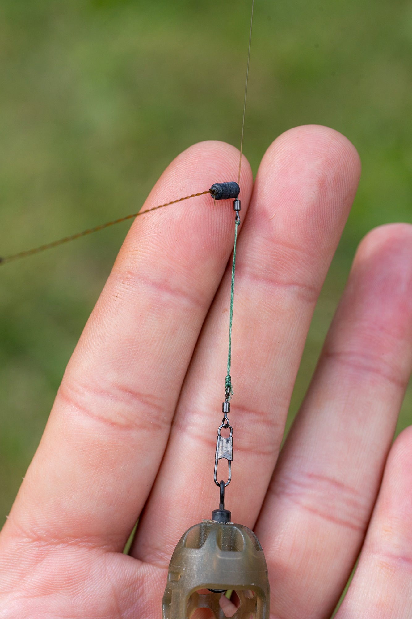 FEEDER LINKS SOFT