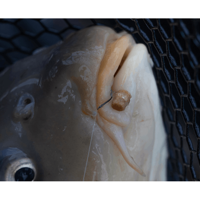 Preston-hookable-bait-bands