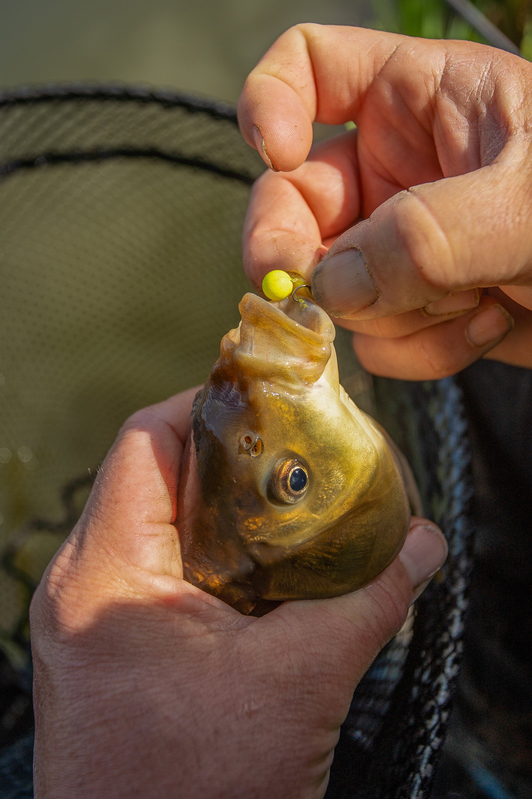 SPIKE’UM WAFTERS