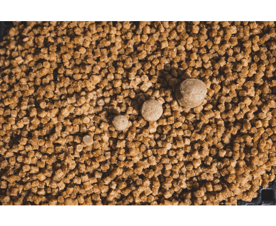 Sonubaits-Pro-Expander-Pellets-500g
