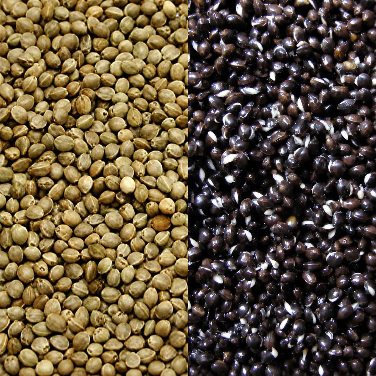 Captura Baits Monster Hempseed voor en na het koken