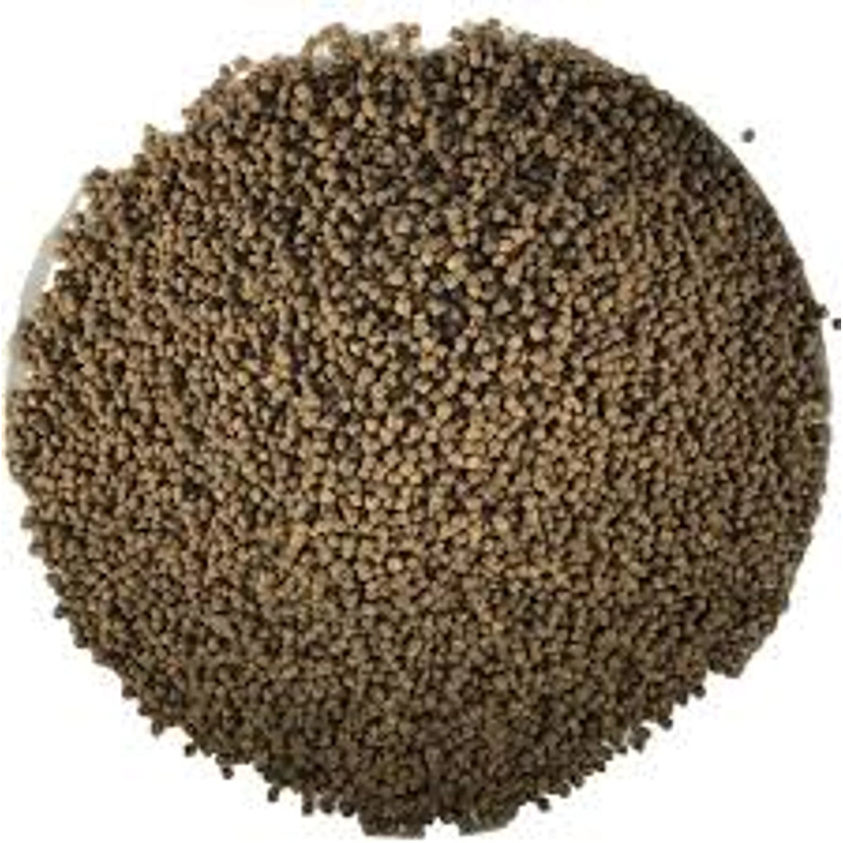 Carpe Extrudée Purple Pellets – pelletdetail