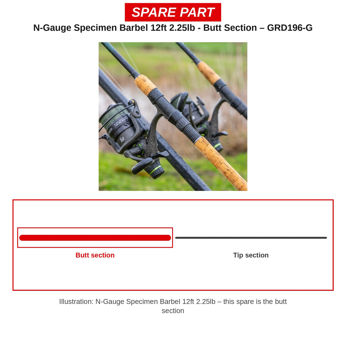 Guru Handdeel N-Gauge Specimen Barbel 12ft 2.25lb – GRD196