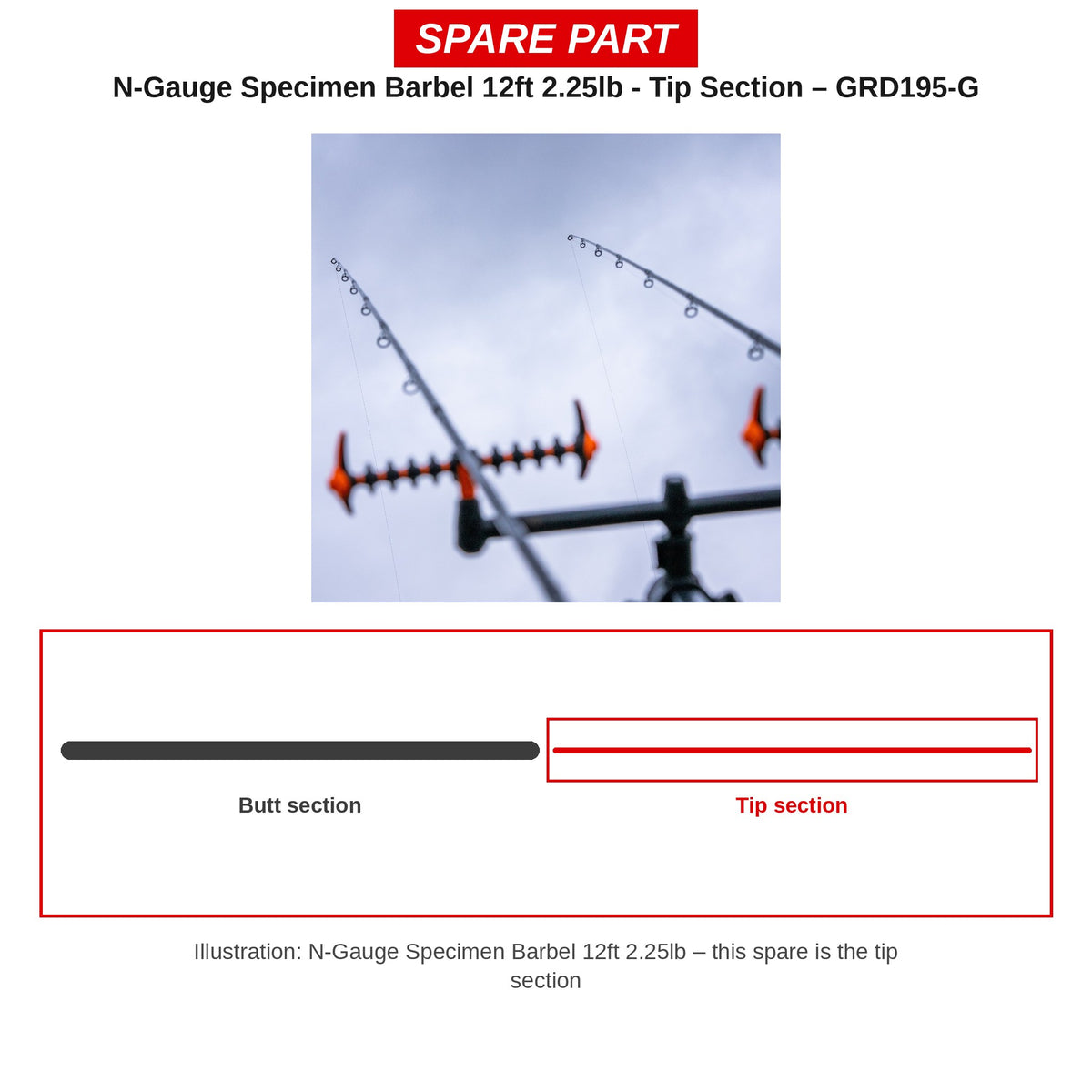 Guru Topdeel N-Gauge Specimen Barbel 12ft 2.25lb – GRD195