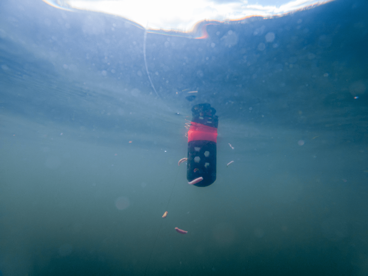 SCHWIMMENDER FÜTTERER