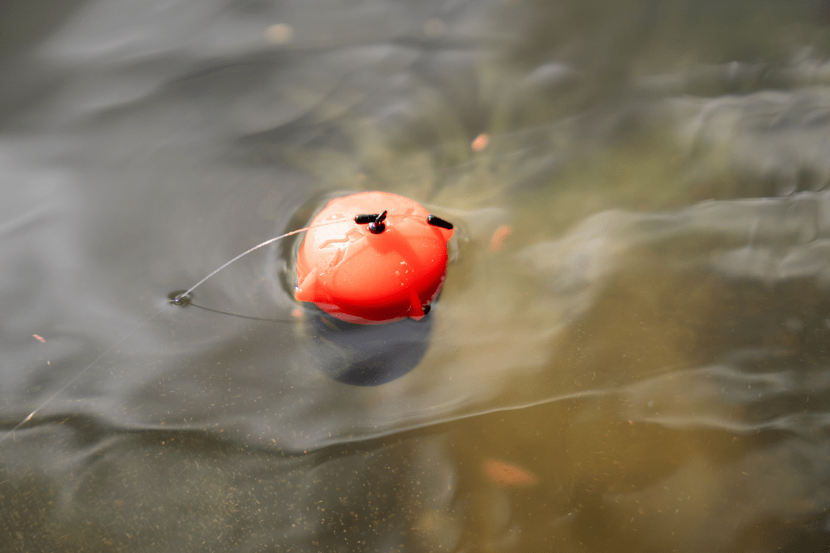 SCHWIMMENDER FÜTTERER