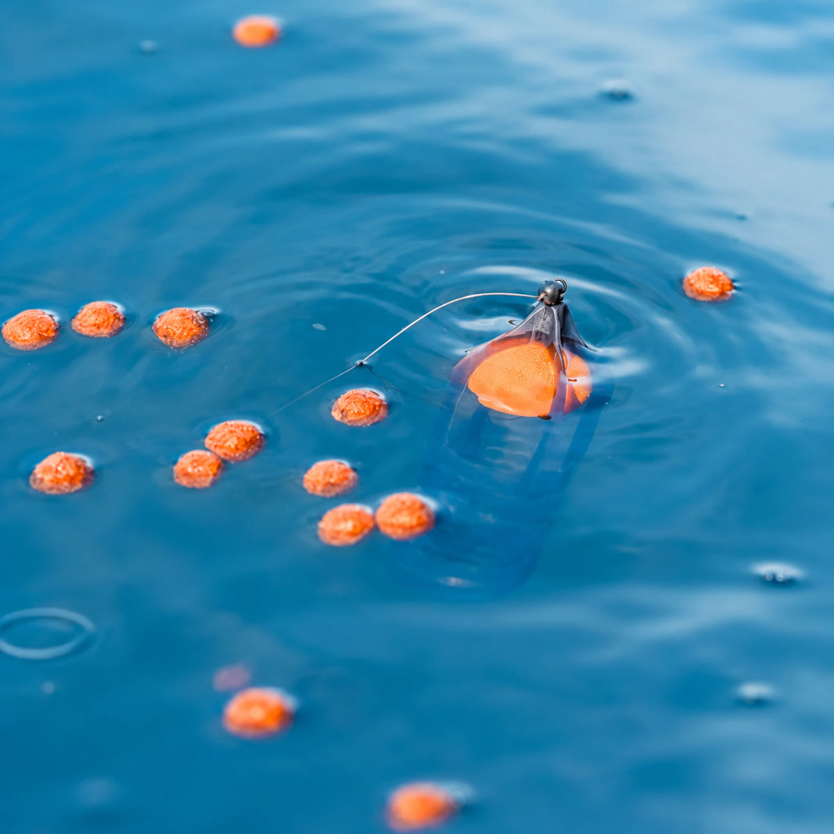 Korum Surface Feeder Float K0320112 aan het wateroppervlak tussen drijvende pellets