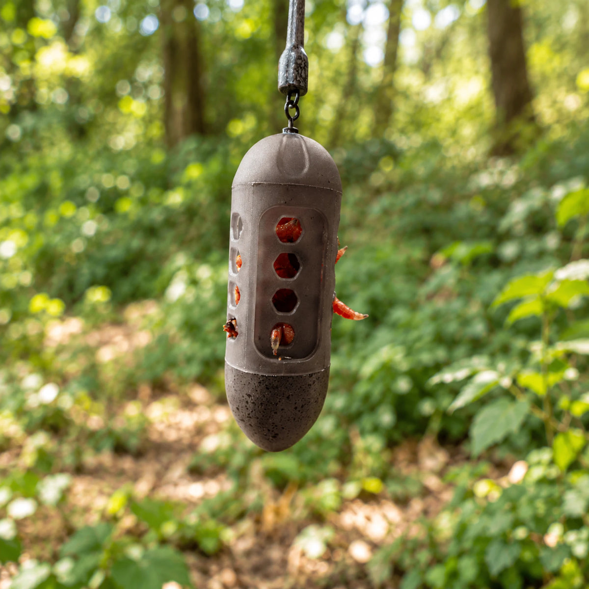 Korum Window Combi Feeder – hangend met maden in de openingen