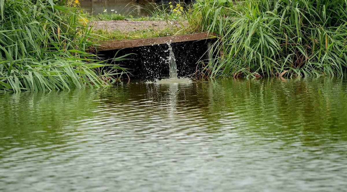 MAP Embed Method Feeder – plons van een worp vlak voor de begroeide oever