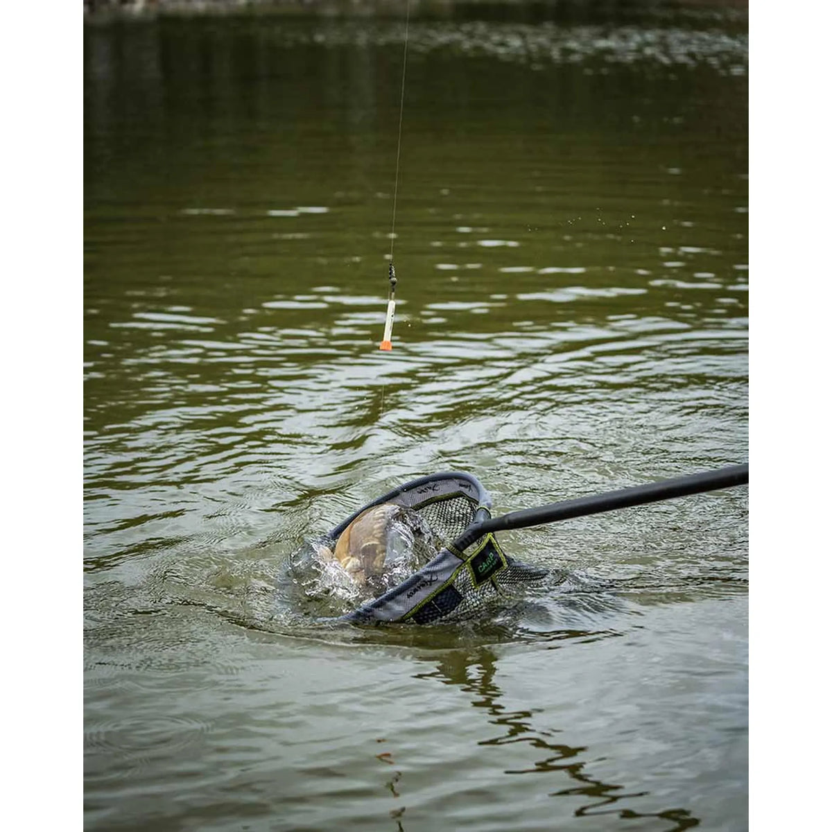 Karper scheppen bij het vissen met een Matrix Foam Pellet Waggler