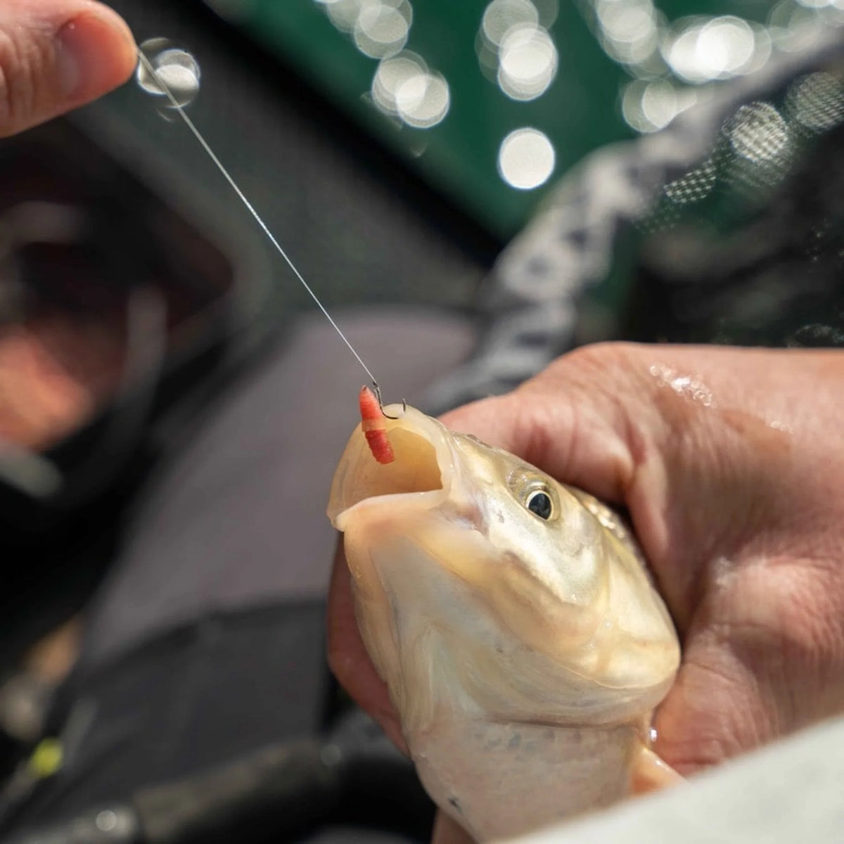 Matrix Super Soft Bait Band gemonteerd op haakaas