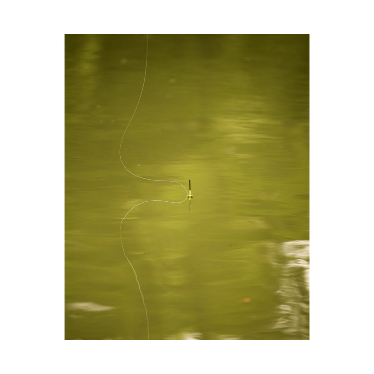 Preston Breeze Pole Float dobber in gebruik