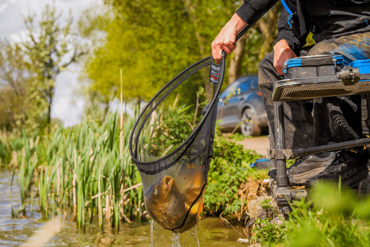 Preston Carbon Hair Mesh Landing Net – schepnet met vis aan de waterkant