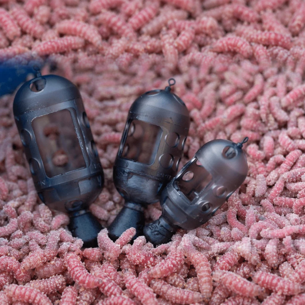 Preston Carp Maggot Feeders – drie korven op roze maden