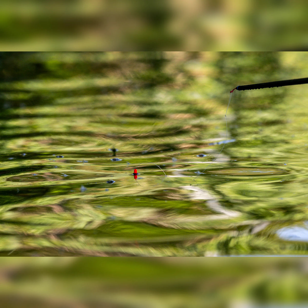 Preston F1 Dibber – kleine dobber op het water bij de hengeltop en lijn