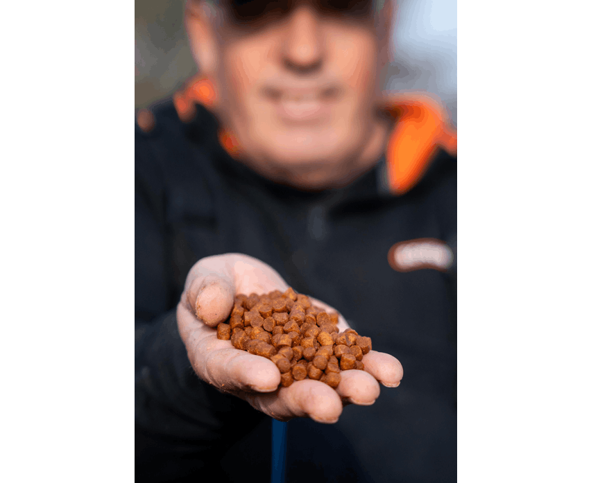 MEGA CARP PELLETS 900g