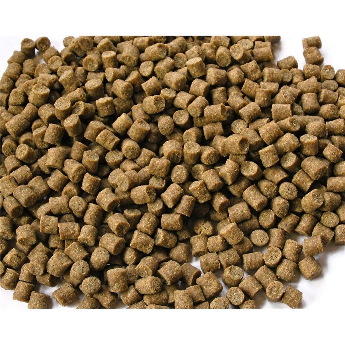 Bruine Skretting Coarse Pellets van dichtbij met zichtbare vlakke uiteinden