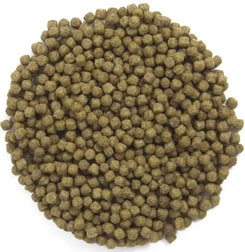 Alltech coppens wheat germ koivoer pellets